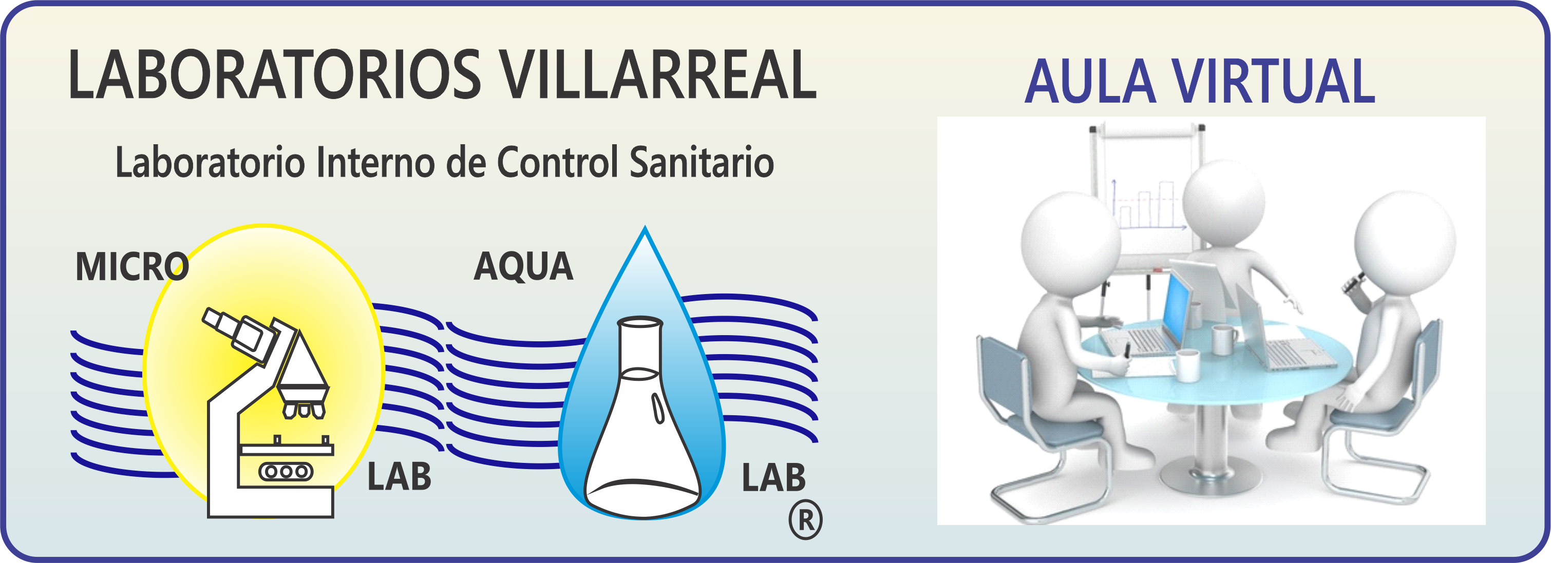 Aula Virtual Laboratorios en Higiene Villarreal