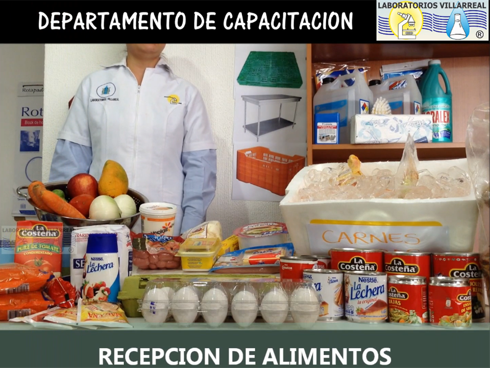 PROCEDIMIENTO DE RECEPCION DE ALIMENTOS