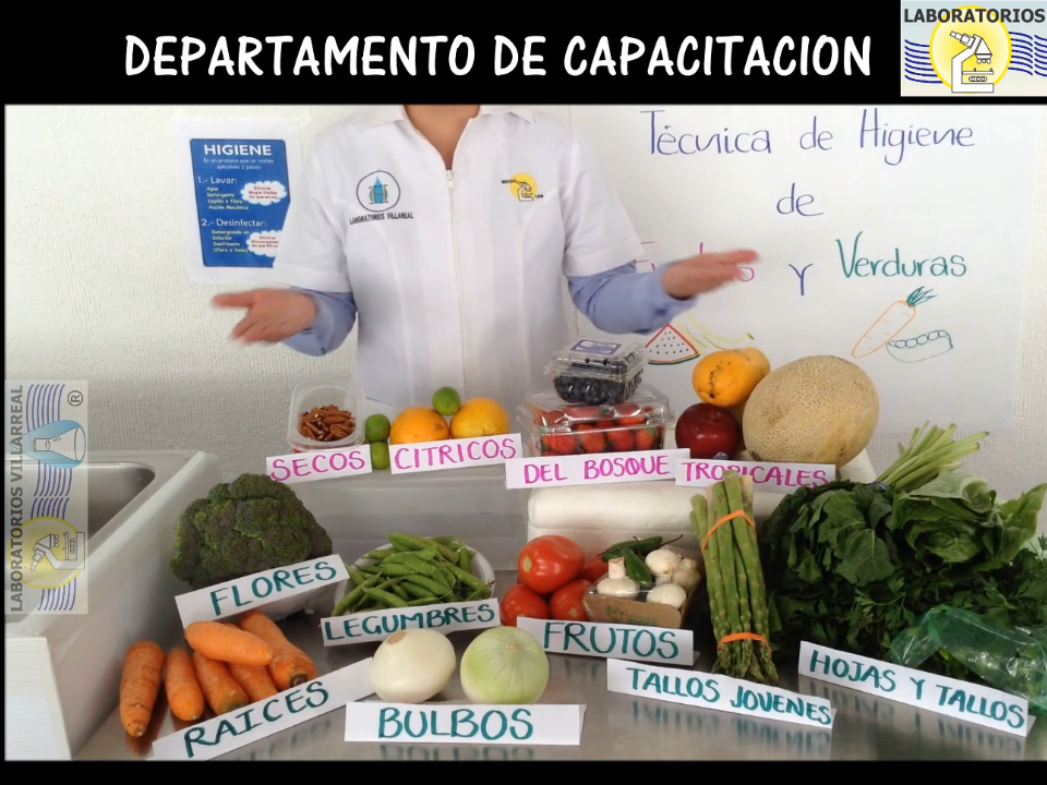 PROCEDIMIENTO CON FRUTAS Y VERDURAS: recepción, clasificación y procesos de higiene